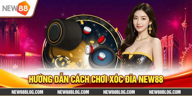 Hướng dẫn cách chơi Xóc Đĩa New88